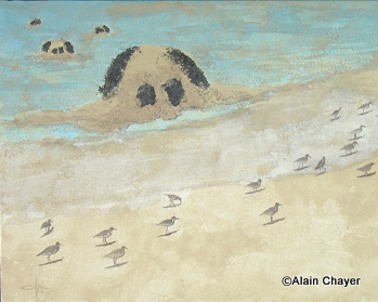 Les Sandys